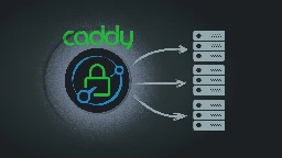 How to Set up Caddy as a Reverse Proxy